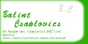 balint csaplovics business card